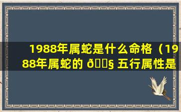 1988年属蛇是什么命格（1988年属蛇的 🐧 五行属性是 🐕 什么）